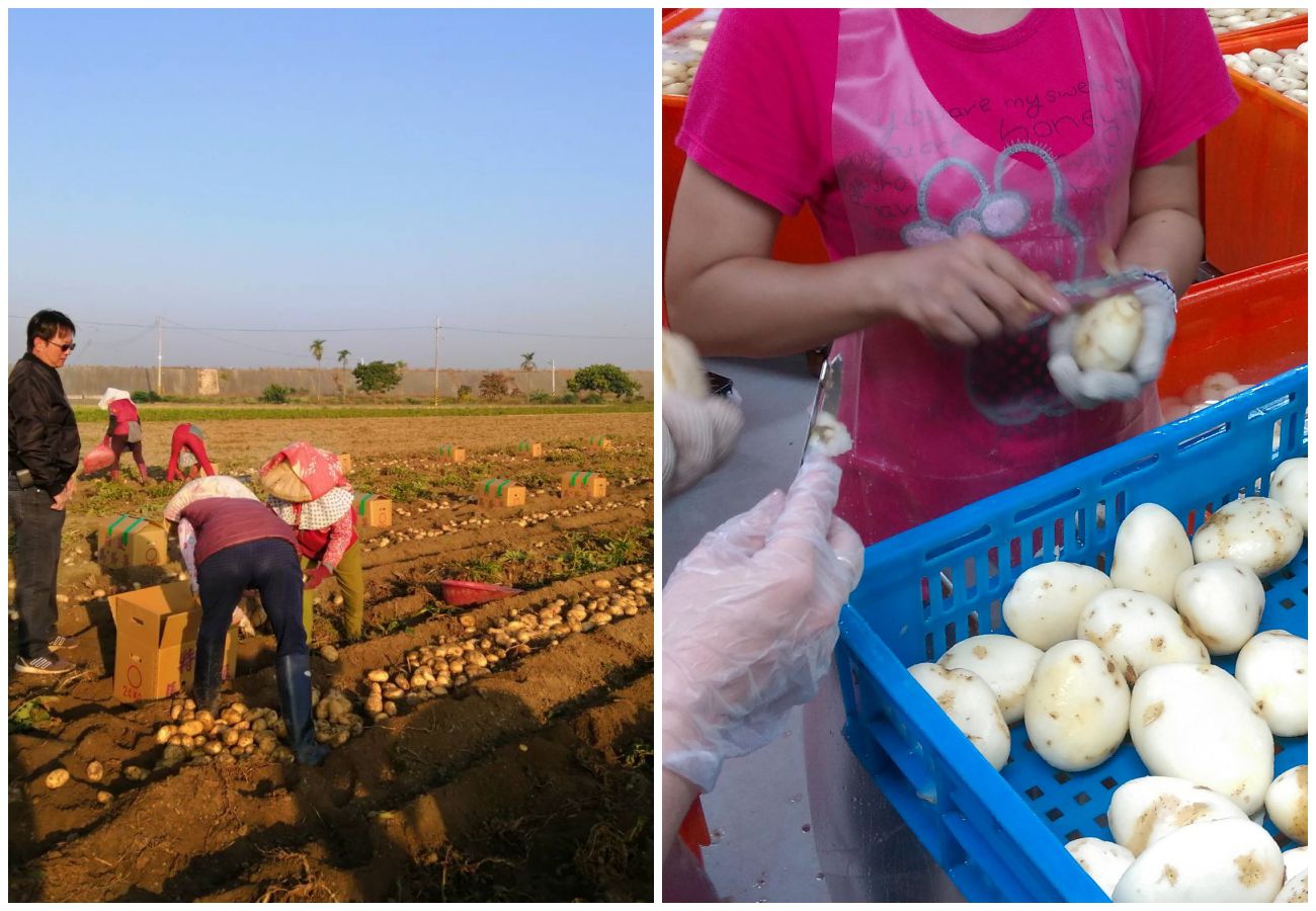 月銷百萬斷貨半年！煌輝手工鮮切洋芋片－厚切馬鈴薯＆天然海鹽