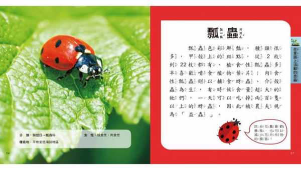 樂智屋 - 我的第一本昆蟲博士小百科NEW（內含小百科+12款昆蟲學習模型及3個配件）