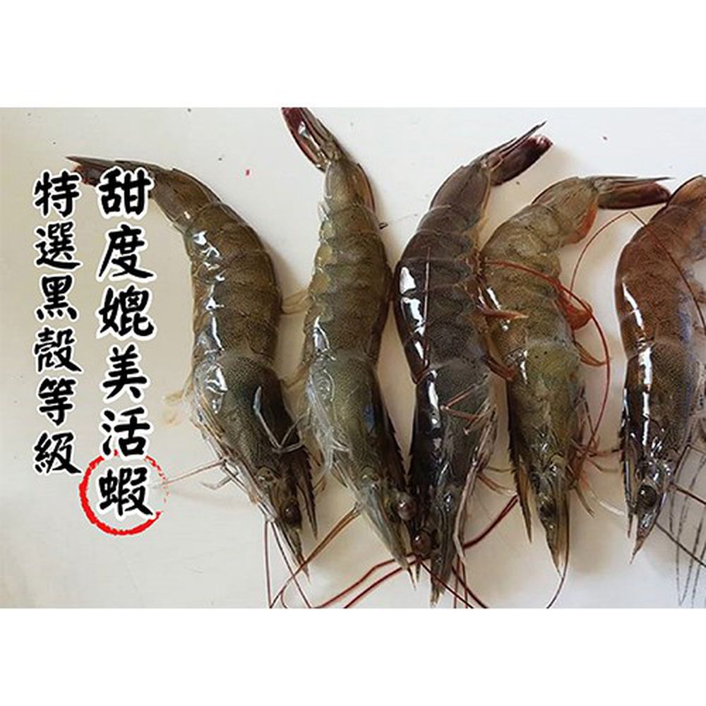 小林市場 - 台灣安心甜白蝦(約35尾上下)-550g/盒
