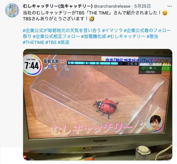 【限時開團】怕蟲一族救星！超簡單抓蟲神器