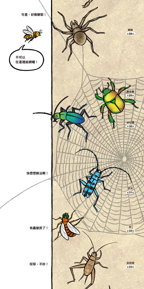 昆蟲在排什麼呢？（二版）
