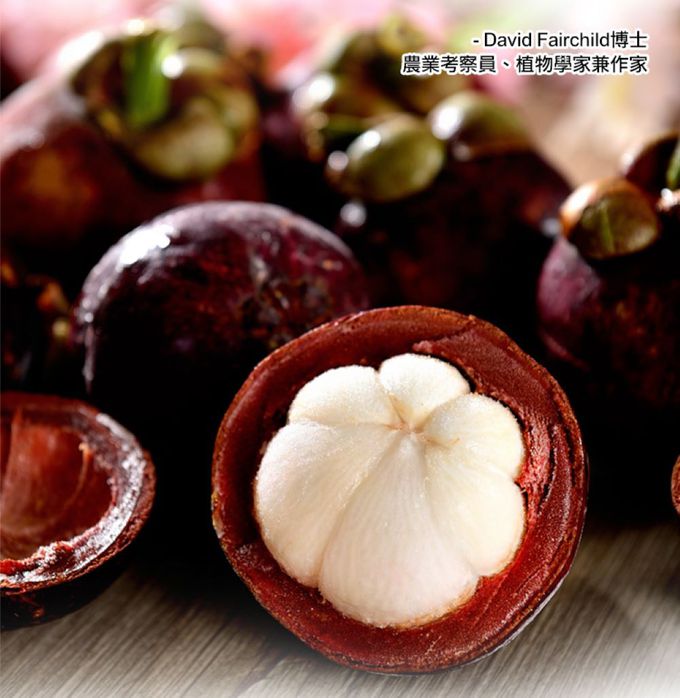 愛品鮮 - 泰國進口鮮凍山竹6包組(500g±5%/約四到六顆/包)