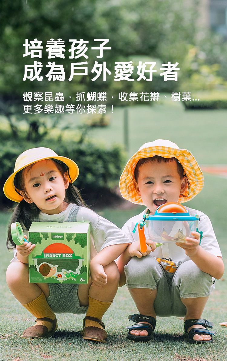MiDeer - 昆蟲觀察盒