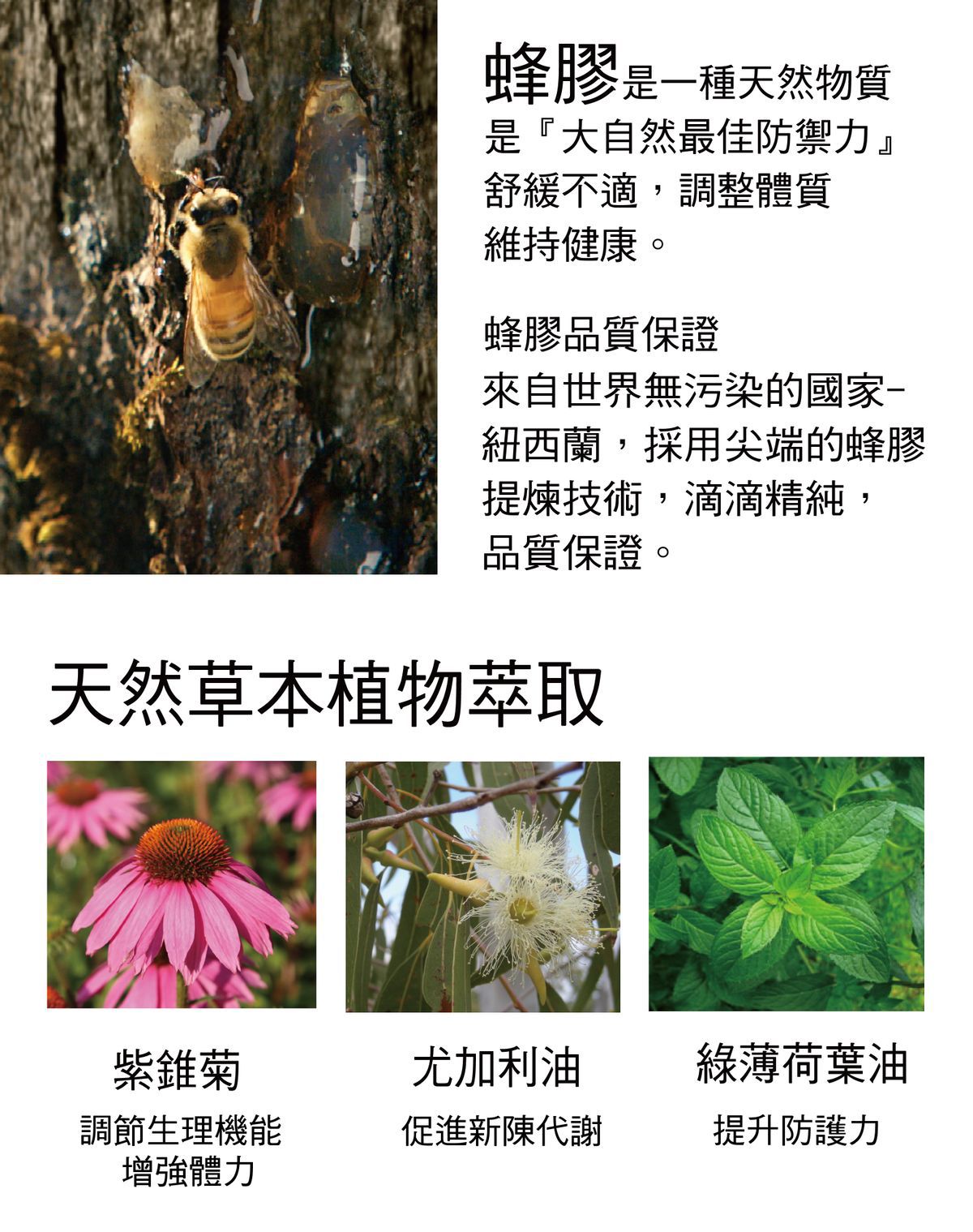 Comvita - 蜂膠草本蜜糖露200ml  (2023.03)-200ml