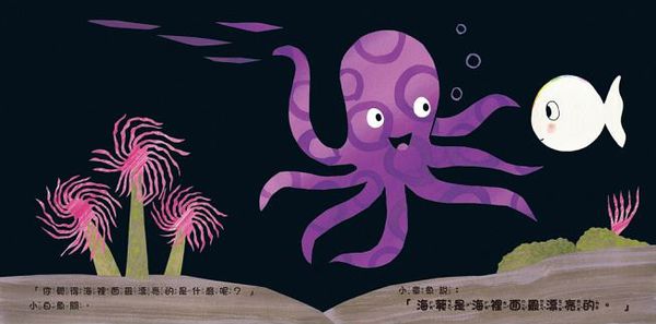 小白魚的海底世界