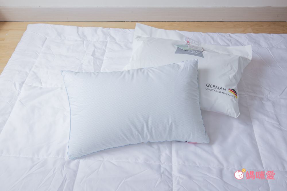 鴻宇 HongYew - 德國科技涼感水洗枕 (單顆)-48X74cm