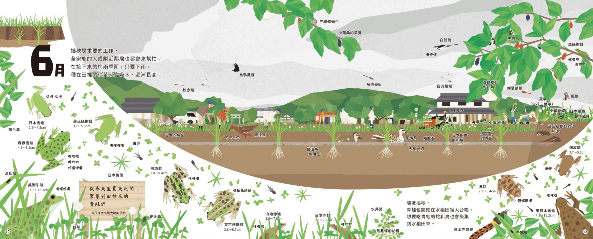 里山的一年繪本1：水稻田的一年