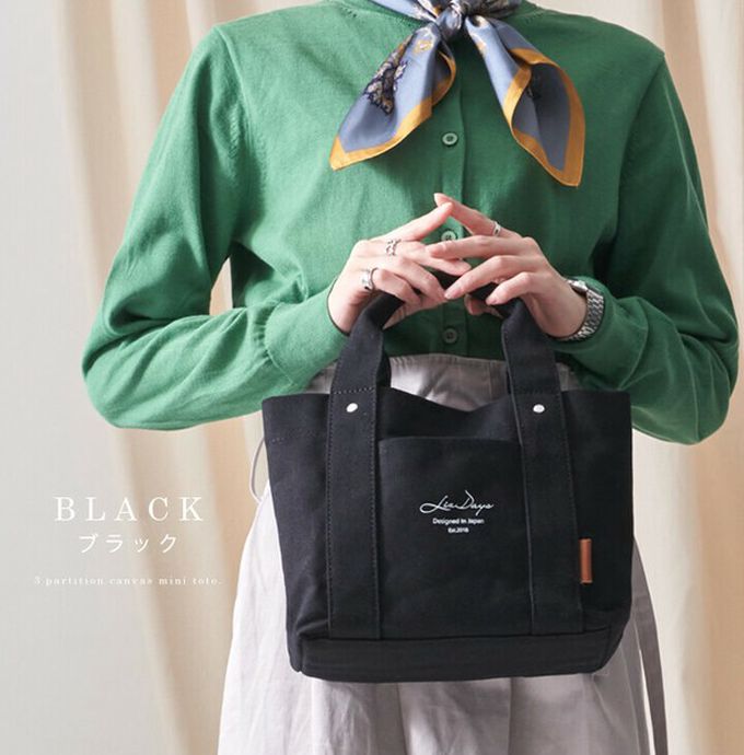 日本 LIZDAYS - [樂天No.1] 輕便分隔帆布托特包-撞色-米杏x棕