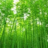 用戶頭像