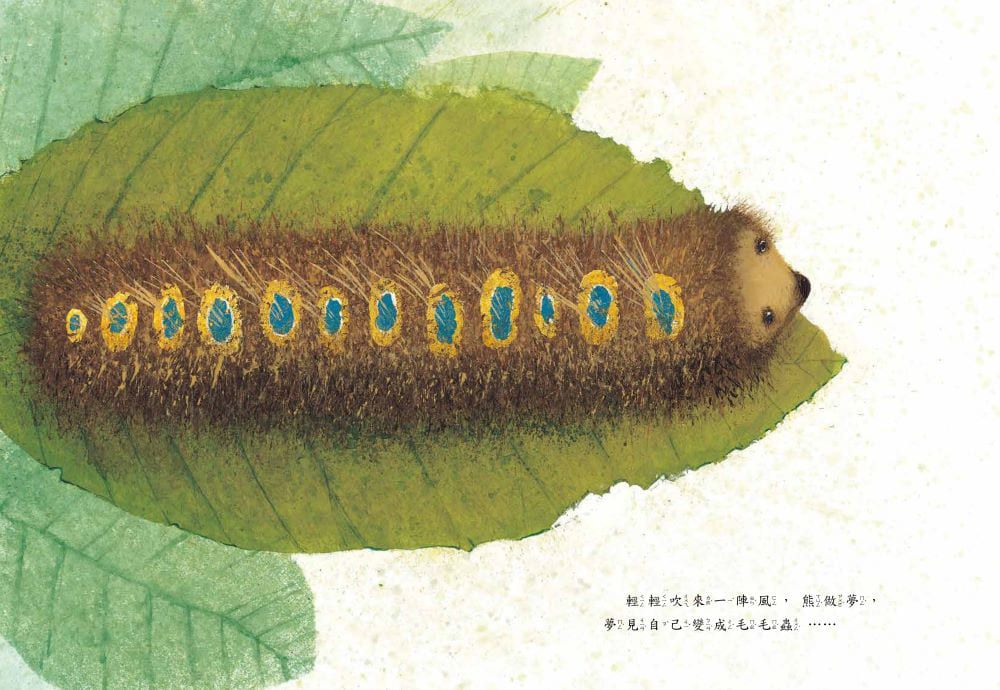 熊夢蝶　蝶夢熊 （雙封面設計+獨家書衣珍藏版）-精裝