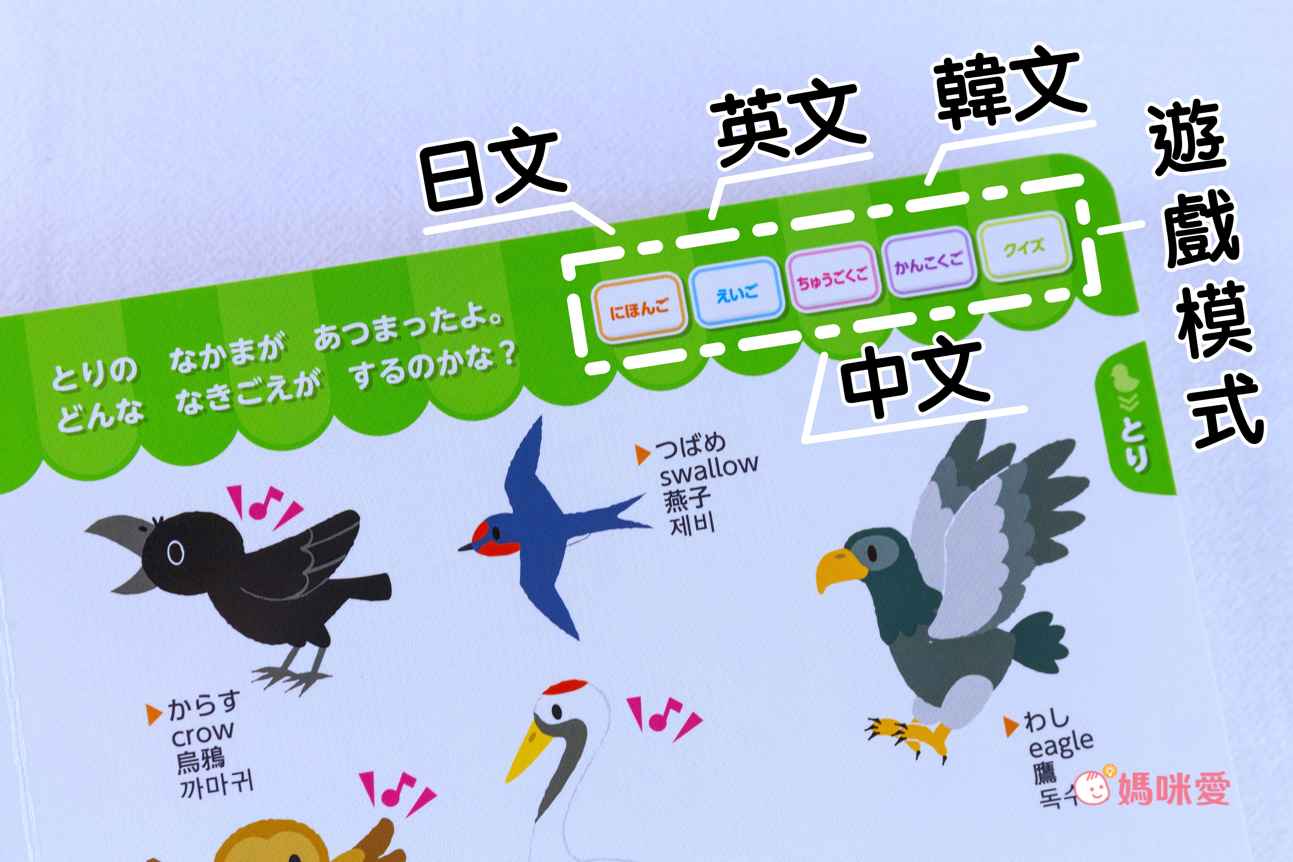 日本設計研發《KIDsREAD 四語圖解字典 》終於補貨！