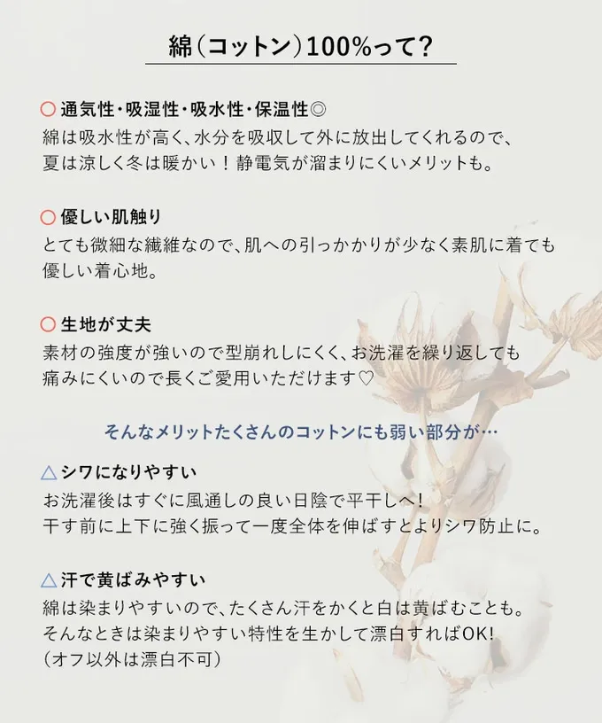 日本 Kobe Lettuce - 100%棉 修身法式袖上衣-(可選領)-白領黑條紋