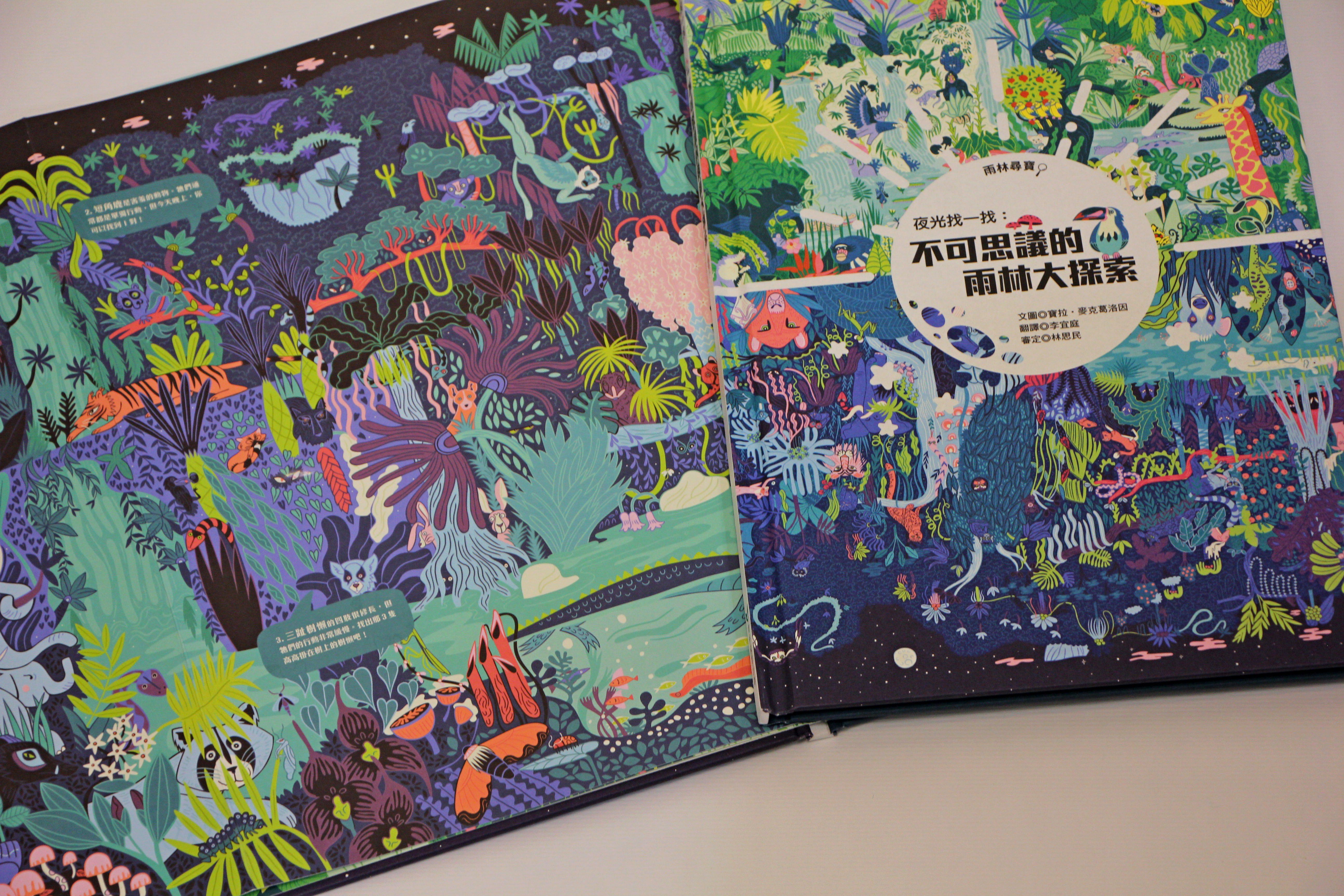 夜光找一找：不可思議的雨林大探索
