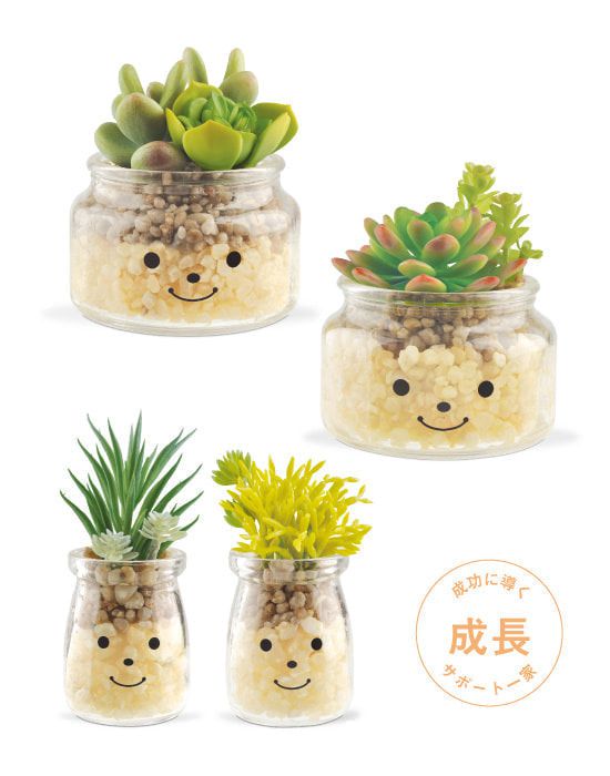 日本 KISHIMA - CT觸媒 開運消臭仿真多肉盆栽-成長-Daniel (L(φ10x11.5cm))