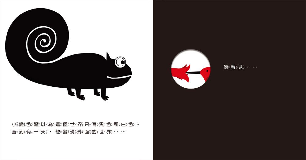 小變色龍變變變：探索顏色