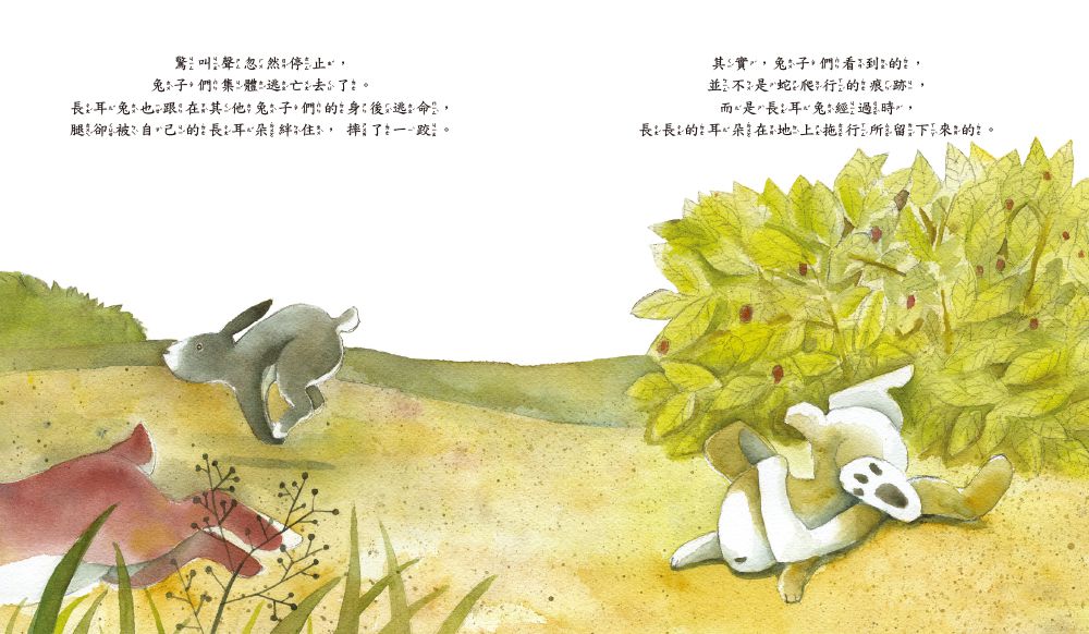 長耳兔【品格教育繪本：自信自愛／激發潛力】