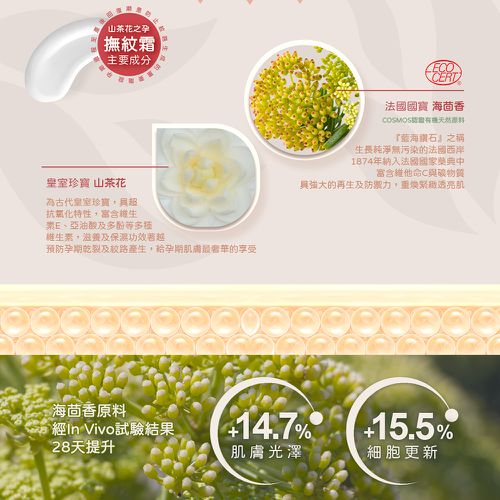 山茶花之孕撫紋霜-135g