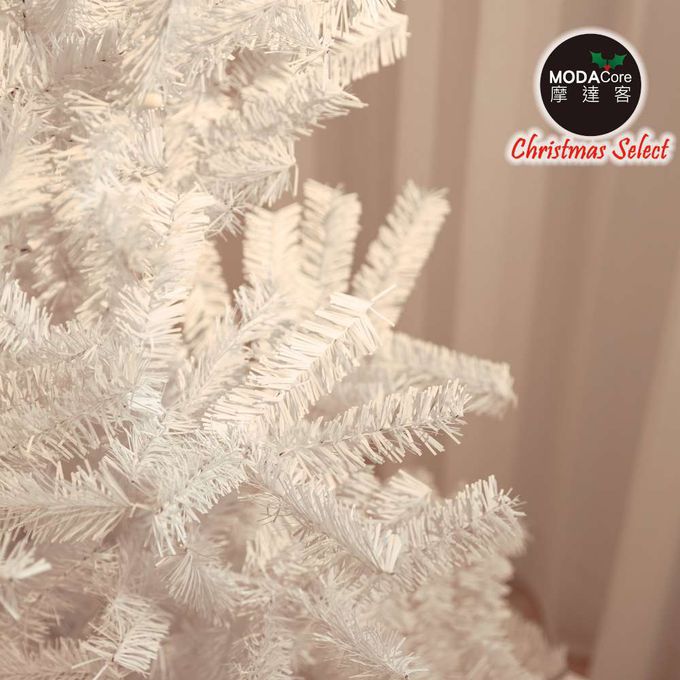 MODACore 摩達客 - 摩達客耶誕★台製7尺/7呎(210cm)特仕幸福型白色聖誕樹裸樹 (不含配件不含燈)本島免運費