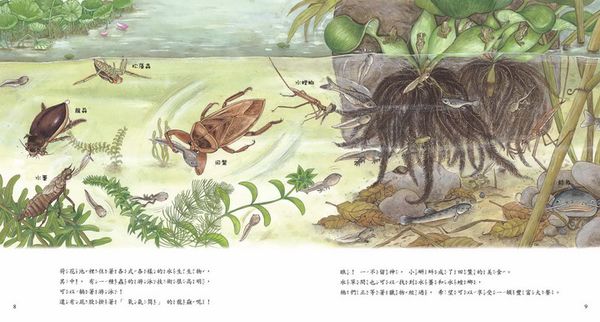 青林國際出版 - 荷花池