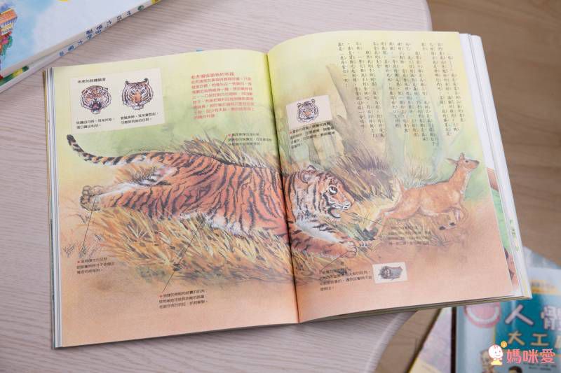 東方套書開箱☆經典必收☞ 福爾摩斯、世界經典文學、科學小百科