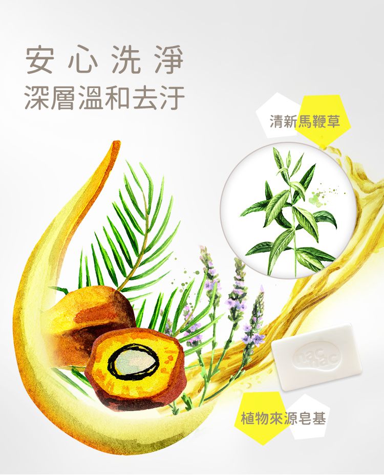 nac nac - 酵素植物洗衣皂(馬鞭草香)-4入