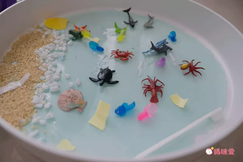 超激推5in1感官盆【韓國POKI趣玩盆】啟發創意力