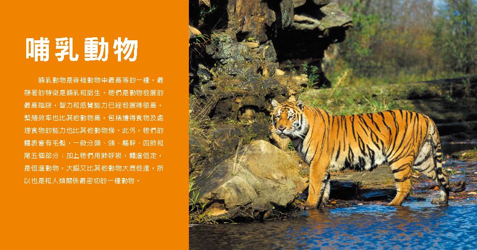 小百科圖鑑：動物小百科-精裝