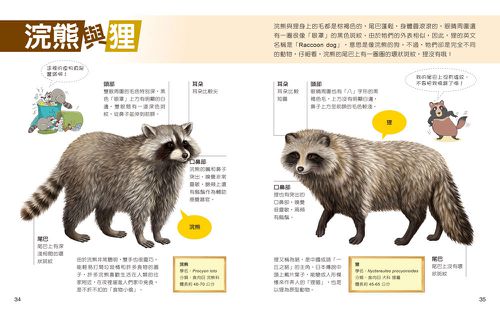 一樣不一樣：陸生動物【A級福利品特惠】-全彩 (單本)-精裝