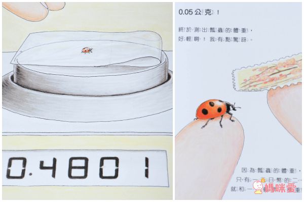 科學不思議1：昆蟲量體重