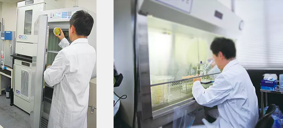 日本代購 - 日本製 POWER BIO 防霉 / 除臭貼片-浴室用