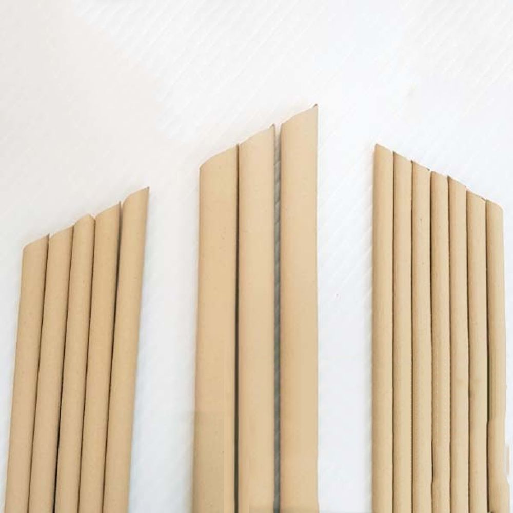 加拿大天際線 Horizon - 天然竹纖維吸管家庭包(110支)