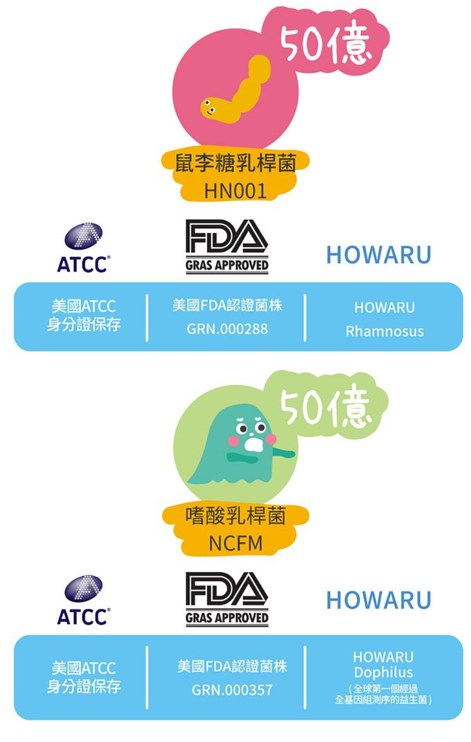 鑫耀生技Panda - 消化吸收-乳糖寶綜合消化酵素+比菲益生菌-120g+150g