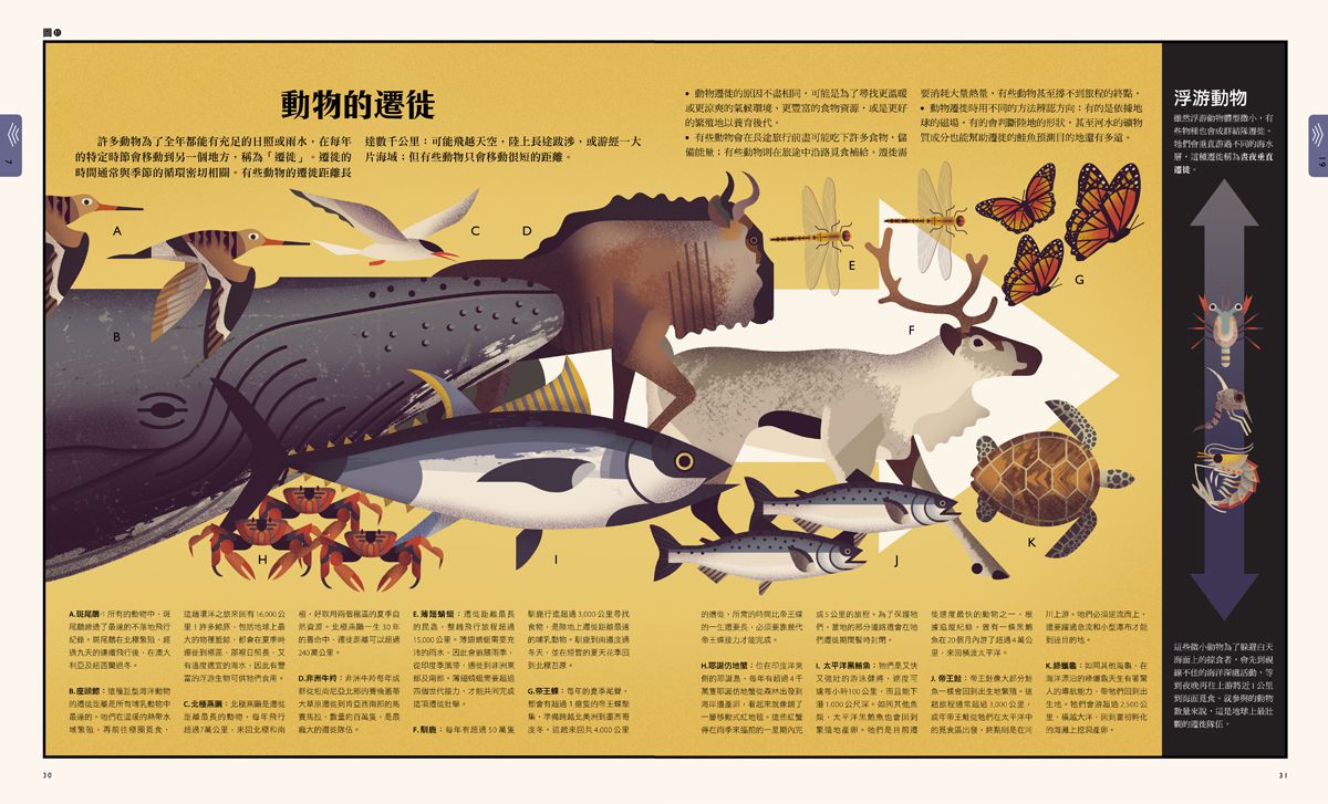 自然大視界：不可思議的生態奧祕圖鑑