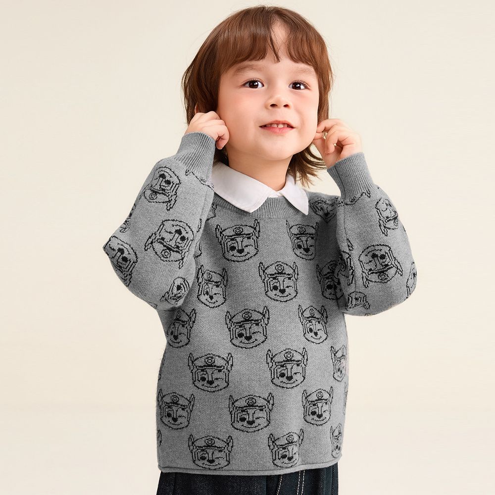 卡通汪汪隊提花針織長袖上衣-卡通人物阿奇-灰色