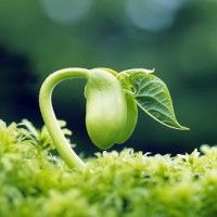 用戶頭像