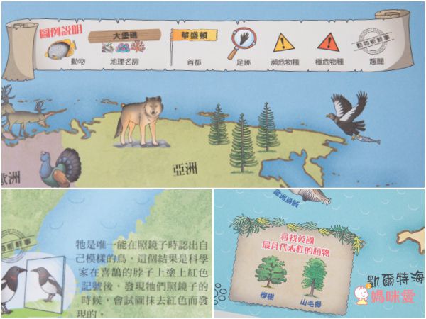 10理由讓你愛上動物！【閣林文創 】生命教育最佳入門書 / 環遊世界之旅 / 恐龍繪本♕大孩子一定要入手的暢銷套書！