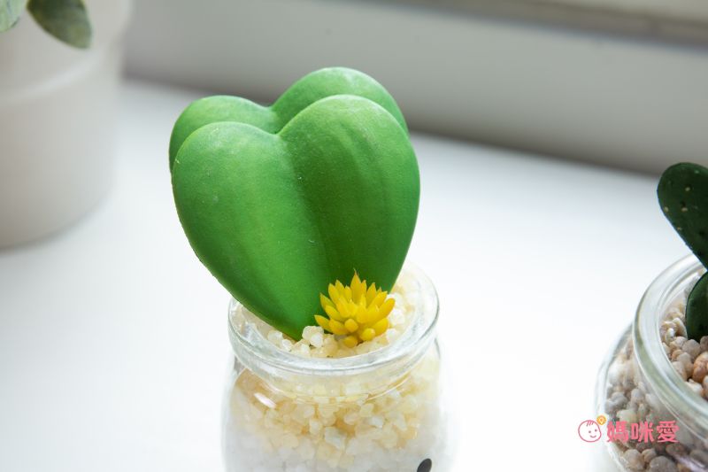 日本 KISHIMA - CT觸媒 開運消臭仿真多肉盆栽-貴人運-Mina (S(5x7.5x11cm))