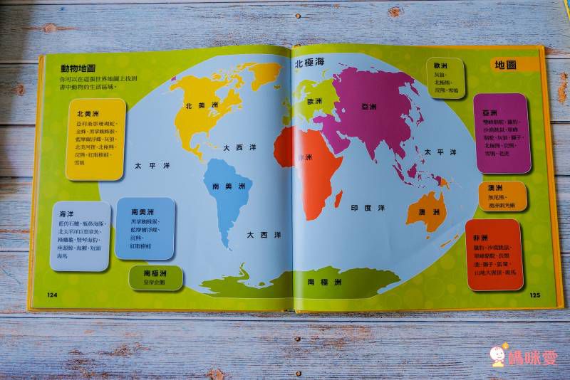 小小動物探險家 (精裝 / 128頁 / 全彩印刷)