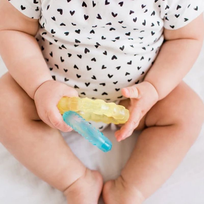 美國 green sprouts - 小綠芽冰鎮冷凍型按摩/舒緩疼痛固齒器_動物造型2入組-刺蝟寶寶