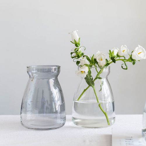 好拾選物houselect - 歐式ins輕奢玻璃花瓶 3色 (買一送一)