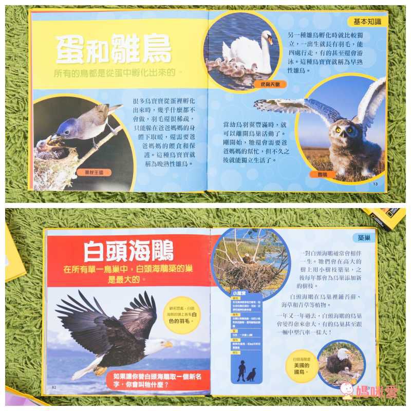 小小動物探險家 (精裝 / 128頁 / 全彩印刷)