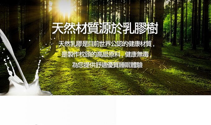 Leafbaby - 愛寶貝100%天然乳膠兒童枕-寶貝夢想國