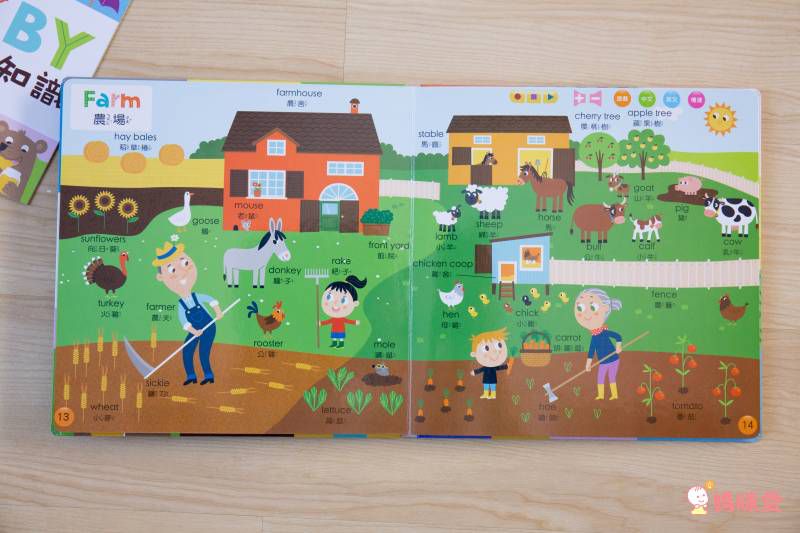 双美生活文創 - ABC點讀學習寶盒-波波狗點讀筆*1隻＋ABC認知圖典*1本＋圖鑑點讀書*1本＋ABC點讀掛圖*1張＋注音點讀卡*1張