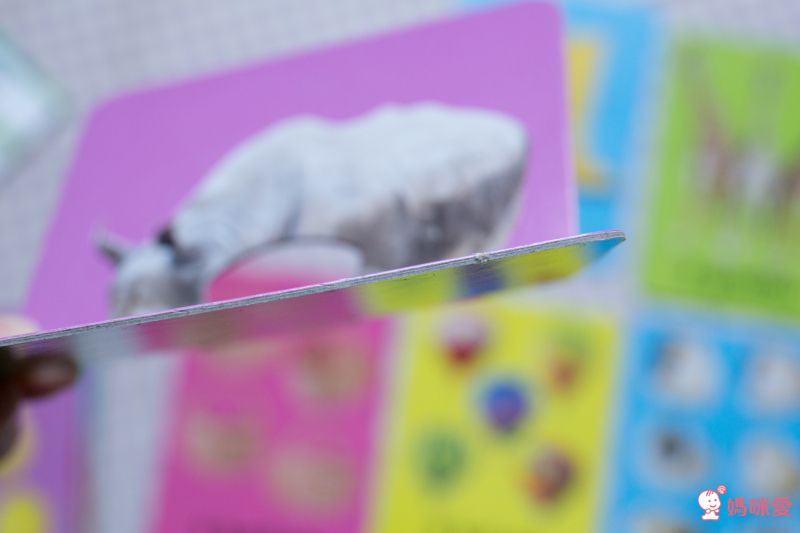 【超級英雄/蜘蛛人 貼紙書】熱愛英雄的男孩不能錯過☞大量貼紙與趣味題型 盡情當個小小英雄