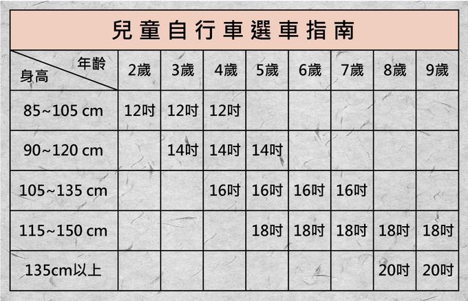 Royalbaby - 14吋星際兒童腳踏車(送打氣筒)-紫色