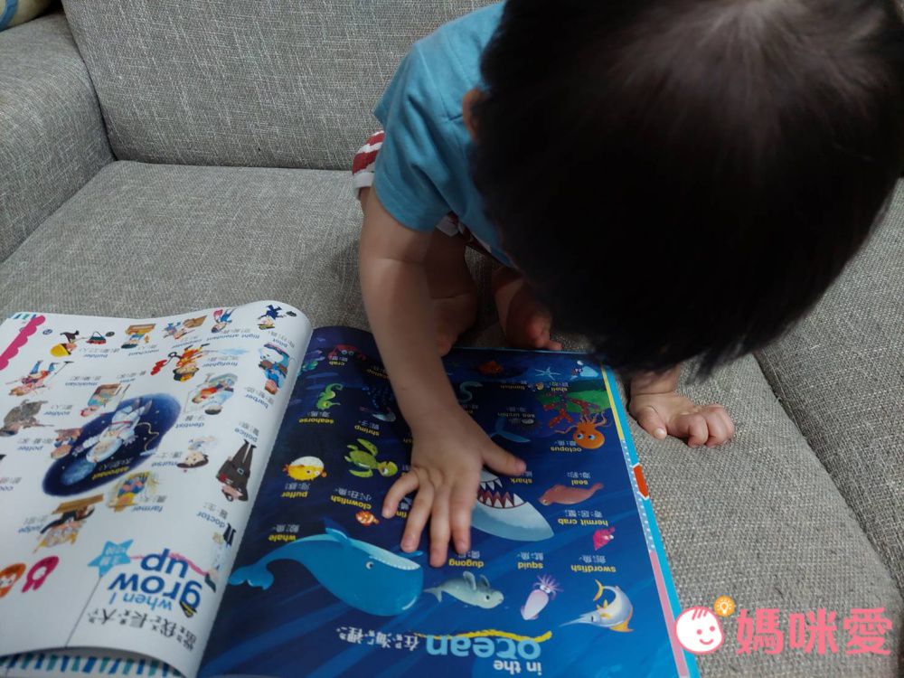 手指按按單字圖畫點讀書(Pro版)