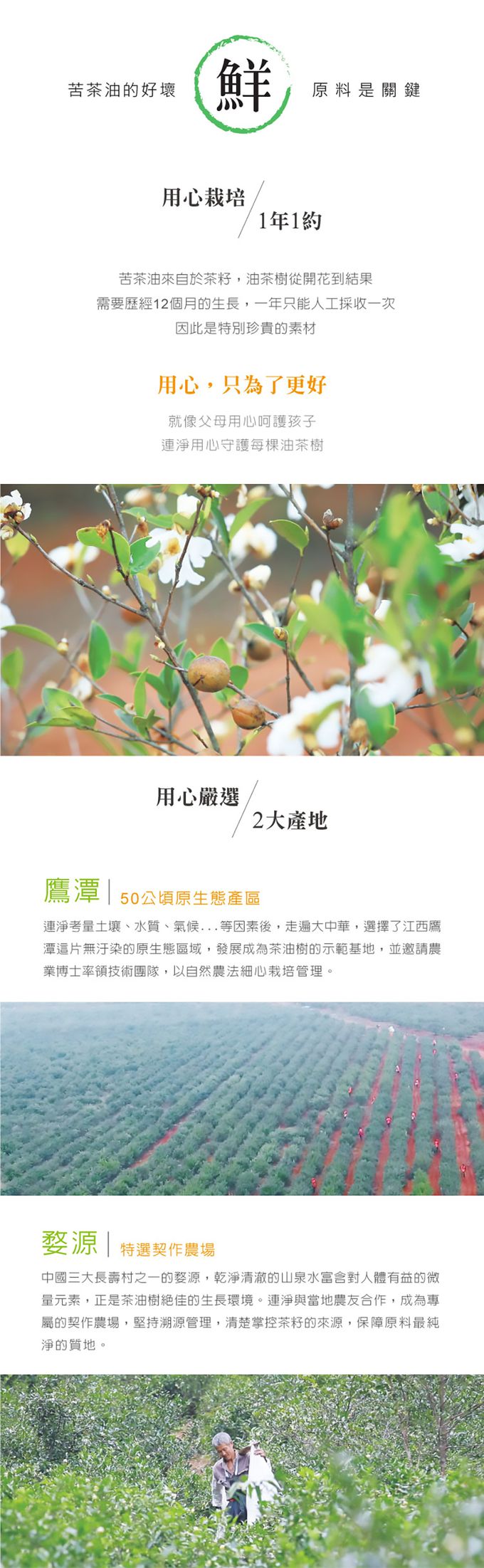 連淨 - 苦茶油(250ml)