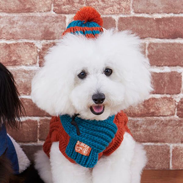 日本代購 - 麻花編織寵物圍巾/圍脖-酒紅 (S)