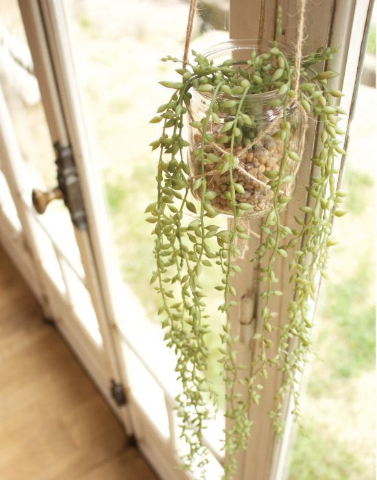 日本 KISHIMA - CT觸媒 消臭仿真植物掛飾-麻繩透明瓶-KH-61103 (12.5x10.5x82cm)