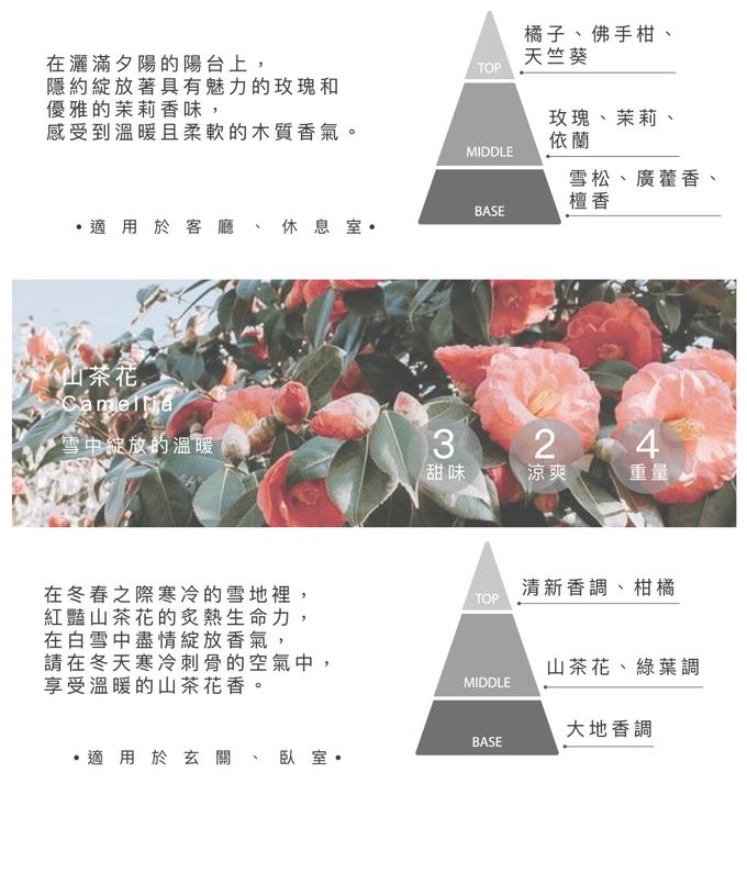 韓國 cocodor - 普普花園系列擴香瓶200ml-晚霞玫瑰